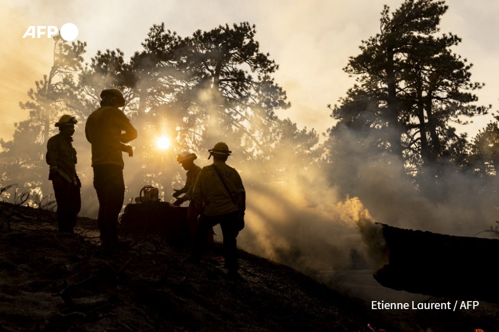 Firefighters cut and estinguish the fire in a tree on the road as the Bridge Fire burns in the Big Pines hills near Wrightwood, California,