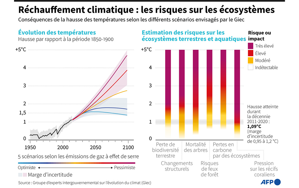 Infographie