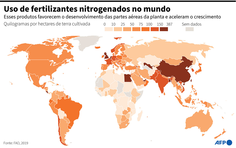 Infográfico