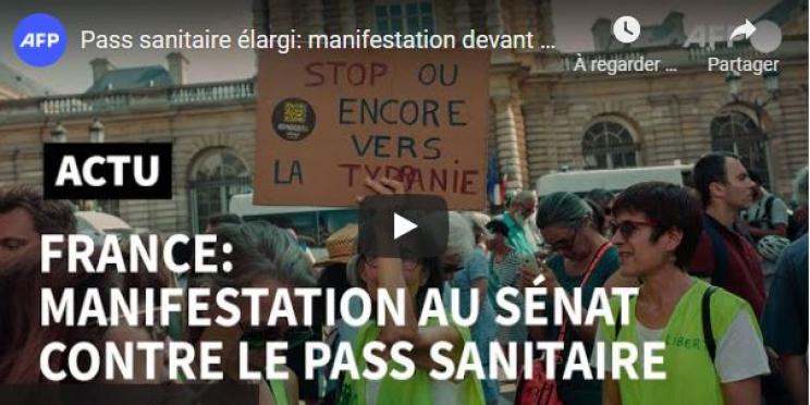 Les 10 vidéos les plus populaires sur les chaînes YouTube de l’AFP - Semaine du 19 au 25 juillet 2021