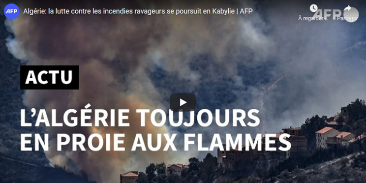 Les 10 vidéos les plus populaires sur les chaînes YouTube de l’AFP - Semaine du 9 au 15 août 2021