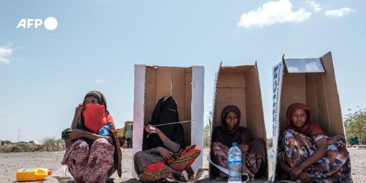 Trois photographes AFP récompensés aux Prix Varenne 2022