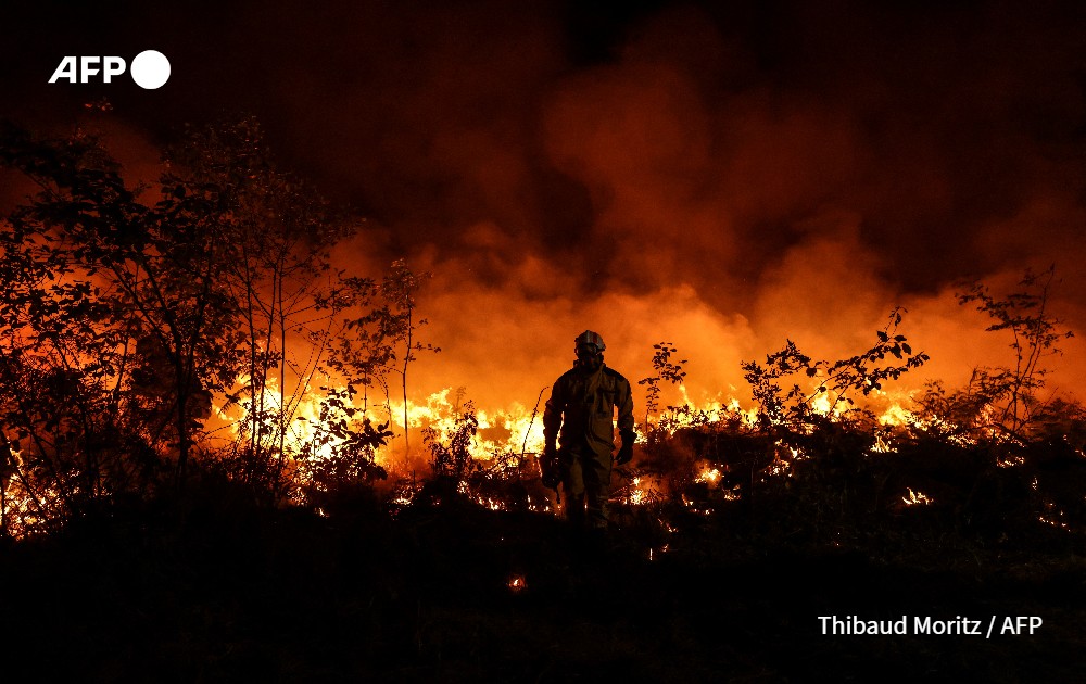 afp photos photography